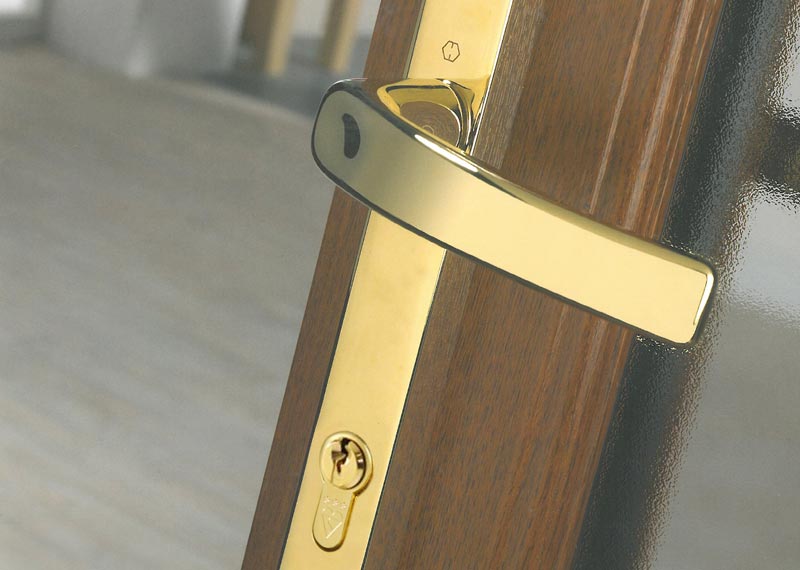 Door Furniture - Heritage Gold Handle